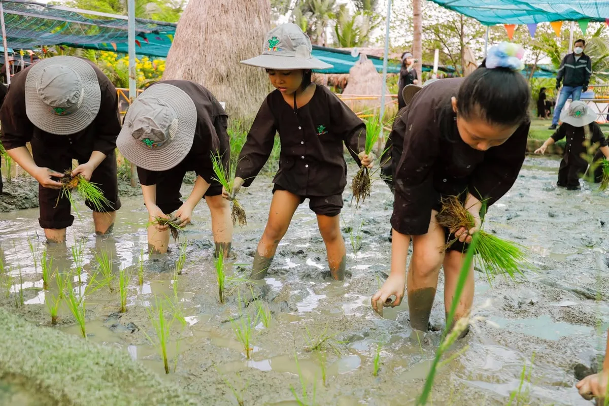 Thực hành cấy lúa nước