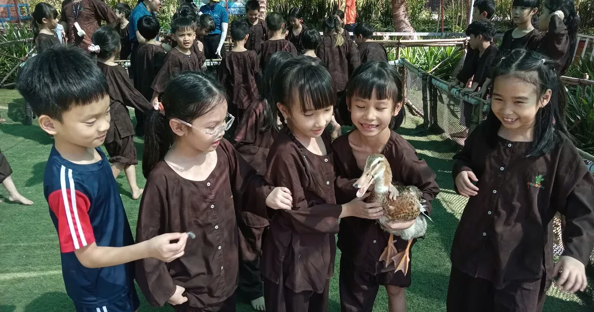 Bắt Vịt Dã Ngoại Mầm Non Tại Dragon Farm, TP.HCM