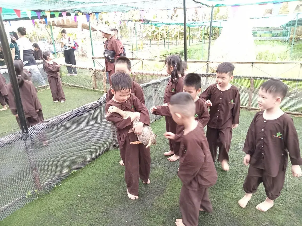 Bé trai ôm chú vịt trắng trên tay, cười rạng rỡ tại Dragon Farm