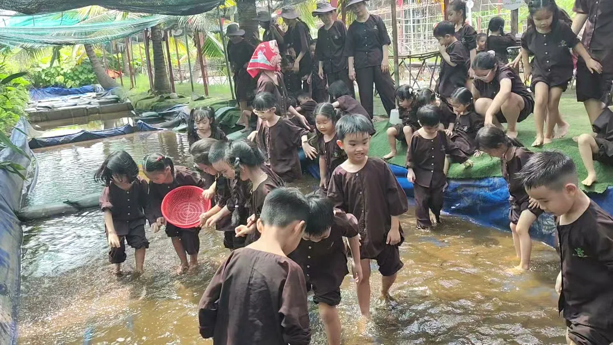 Các bé Mầm Non Toto-Chan rộn rã tát mương bắt cá lóc