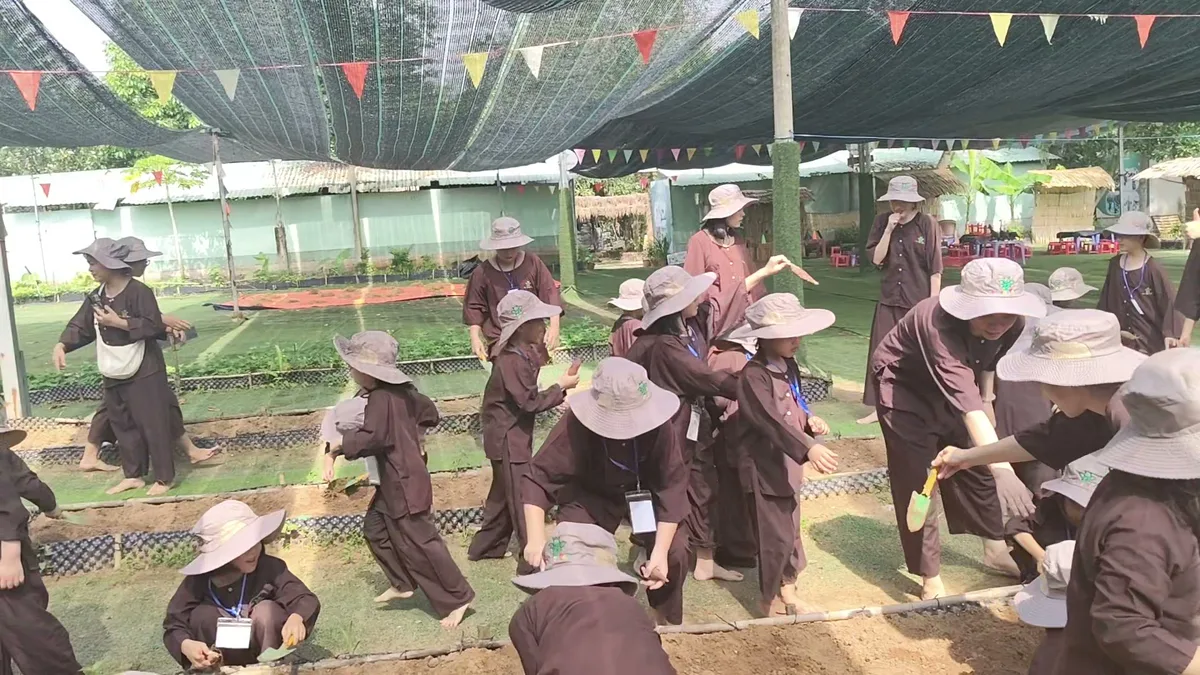 Các bé mầm non hăng hái bới đất đào khoai lang tím