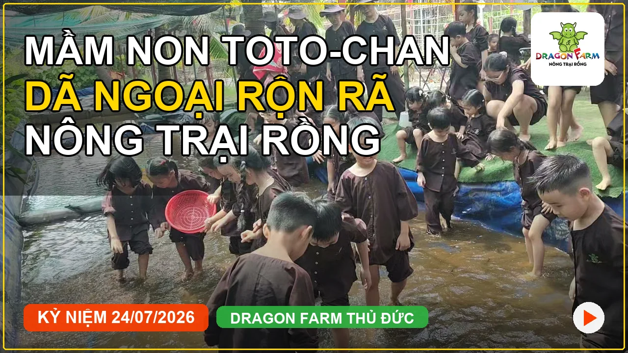 Ký sự dã ngoại Mầm Non Toto-Chan tại Nông Trại Rồng