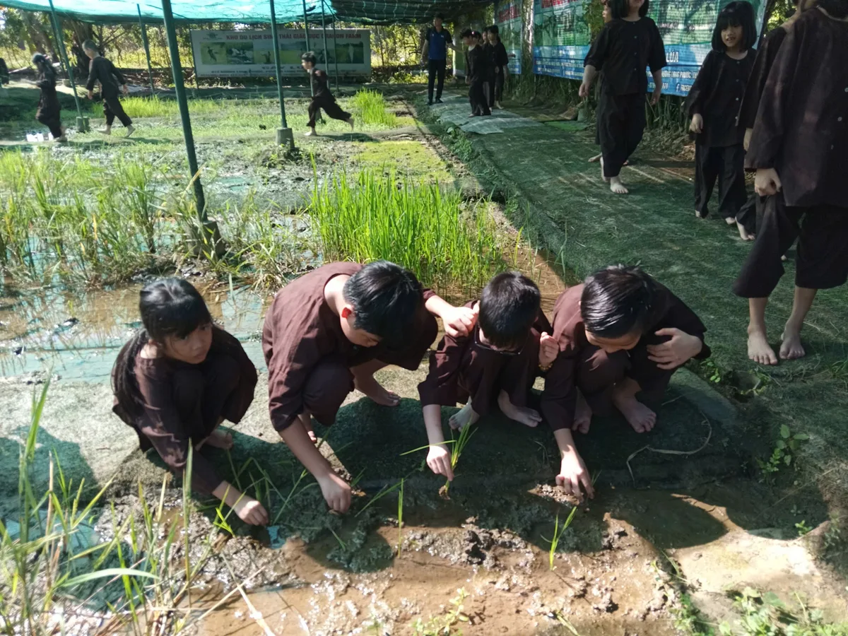Đội ngũ điều phối viên Dragon Farm đi sát hỗ trợ an toàn cho học sinh cấy lúa
