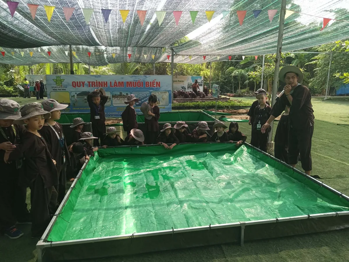 Bé mầm non mặc áo bà ba tập trung cào muối trên ô nạo tại Dragon Farm