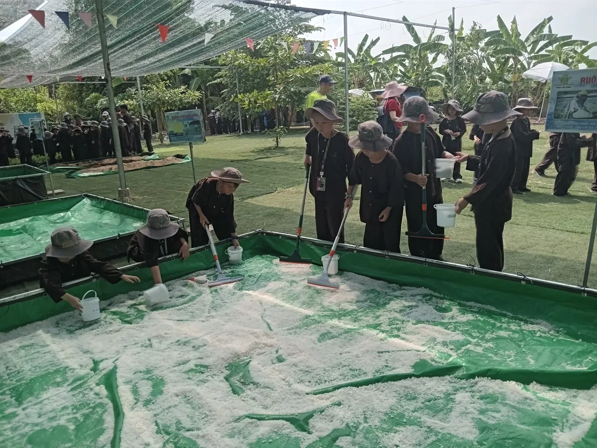 Hướng dẫn viên Dragon Farm tận tình hướng dẫn bé mầm non làm muối an toàn