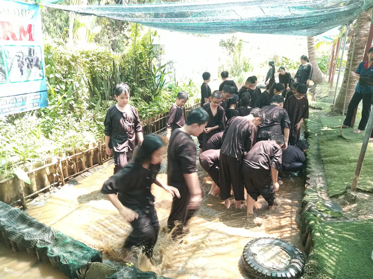 Hoạt động ngoại khóa vui nhộn của học sinh tiểu học tại trang trại Dragon Farm